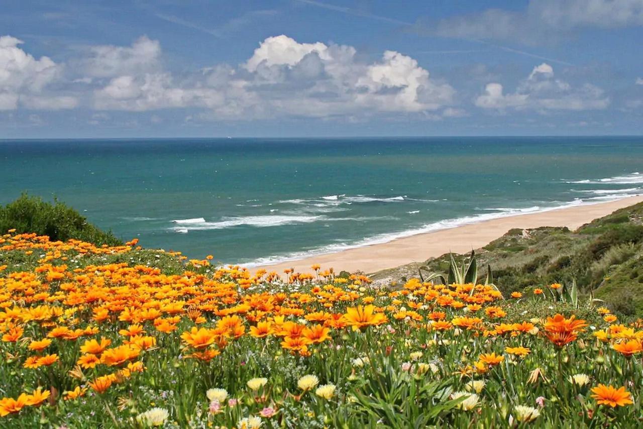 Baia Residence I - Beach And Rest Sao Martinho do Porto Luaran gambar